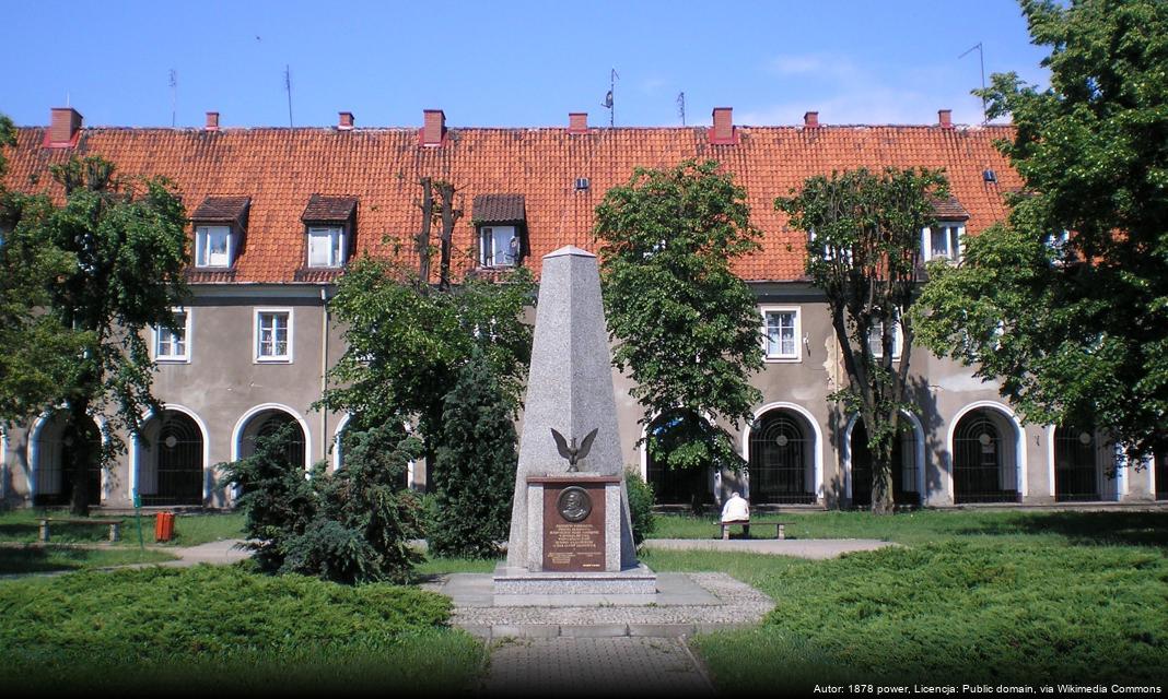 Nowa zieleń na placu Jana Pawła II w Ciechanowie