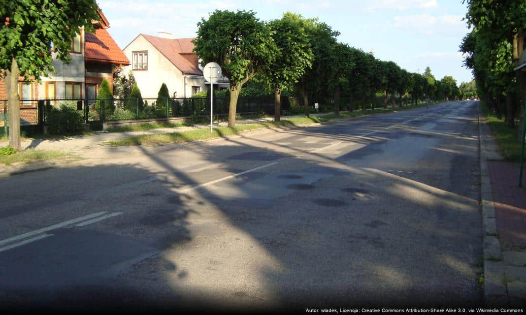 Dwieście nowych drzew w Ciechanowie dzięki lokalnemu budżetowi